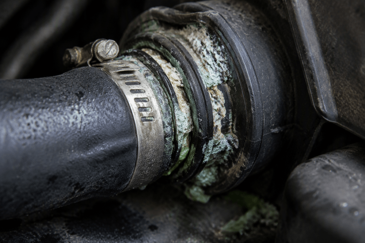 Coolant level and leaks: the most common real culprit